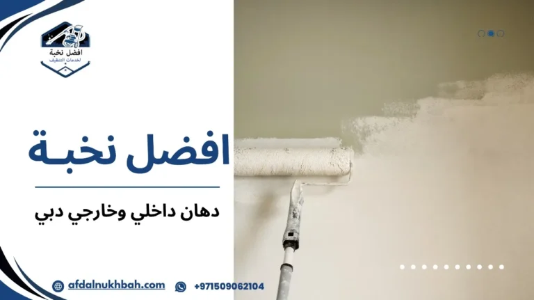 دهان داخلي وخارجي دبي