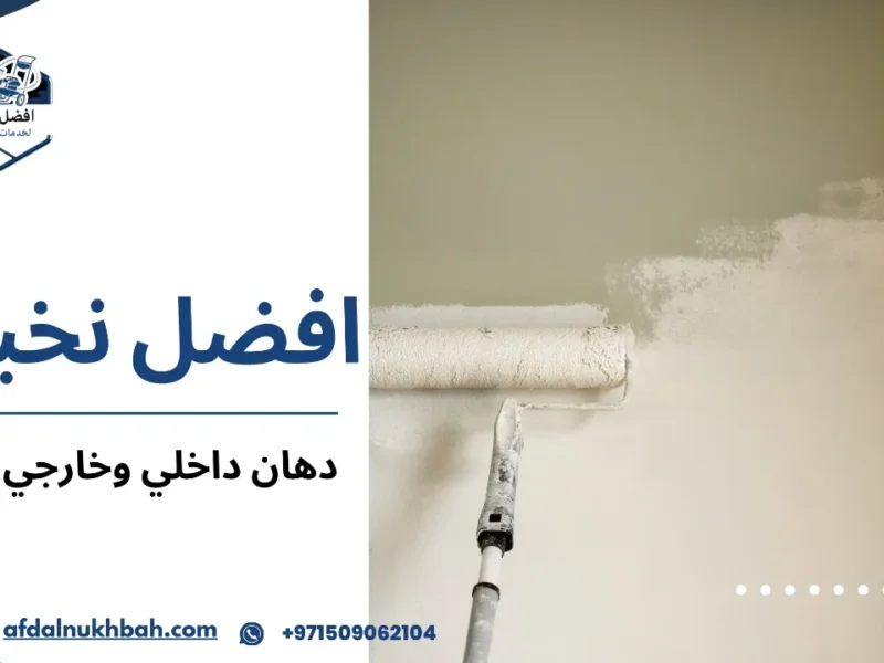 دهان داخلي وخارجي دبي