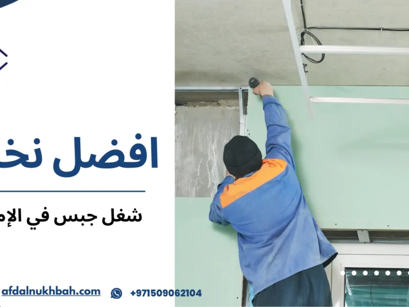 شغل جبس في الإمارات