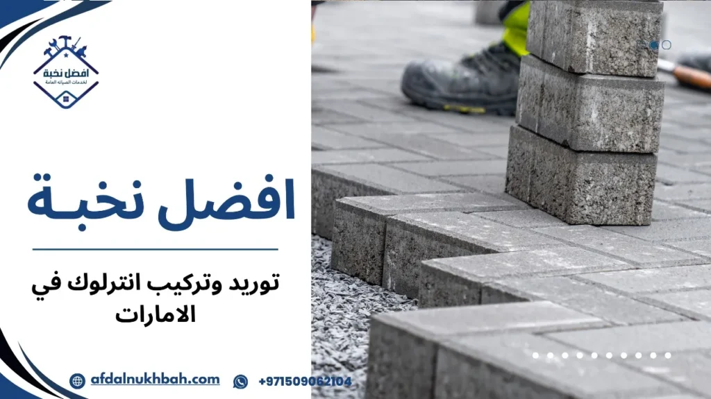 تقييم المشروع وتحسين الخدمات