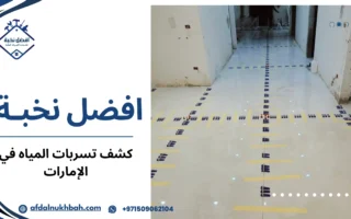 كشف تسربات المياه في الإمارات حلول متطورة لحماية المنازل والمنشآت