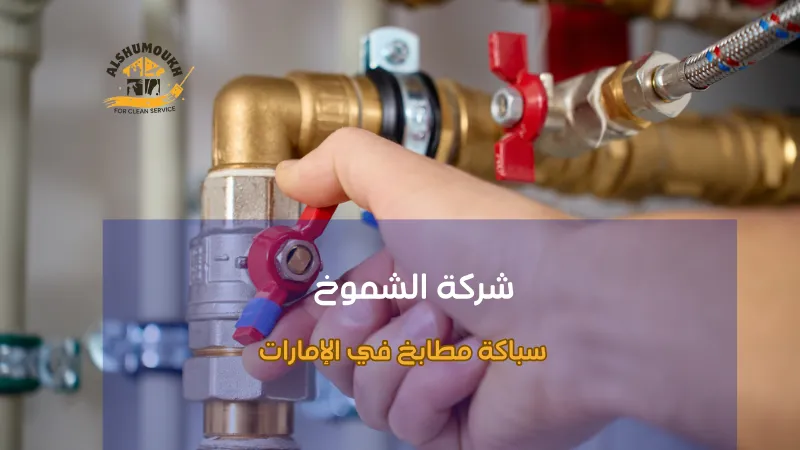 سباكة مطابخ في الإمارات