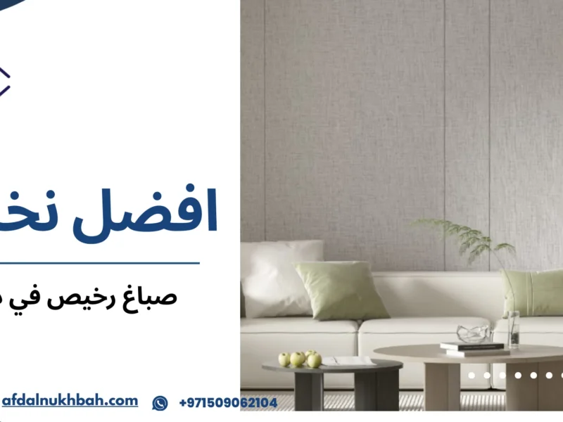 أفضل صباغ رخيص في دبي لتنفيذ دهانات احترافية 1 صباغ رخيص في دبي